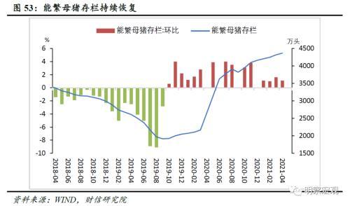 兔毛最新价格，市场趋势、影响因素及未来展望