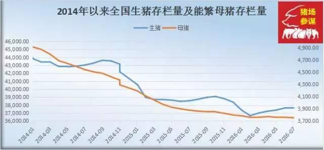 獭兔最新价格，市场趋势、影响因素及养殖建议