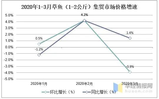 桔梗最新价格及市场趋势分析